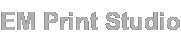 tstormemprintstudio